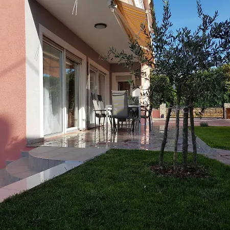 Bucic * Buje